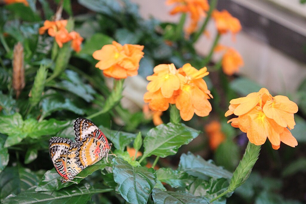 hershey gardens student trips