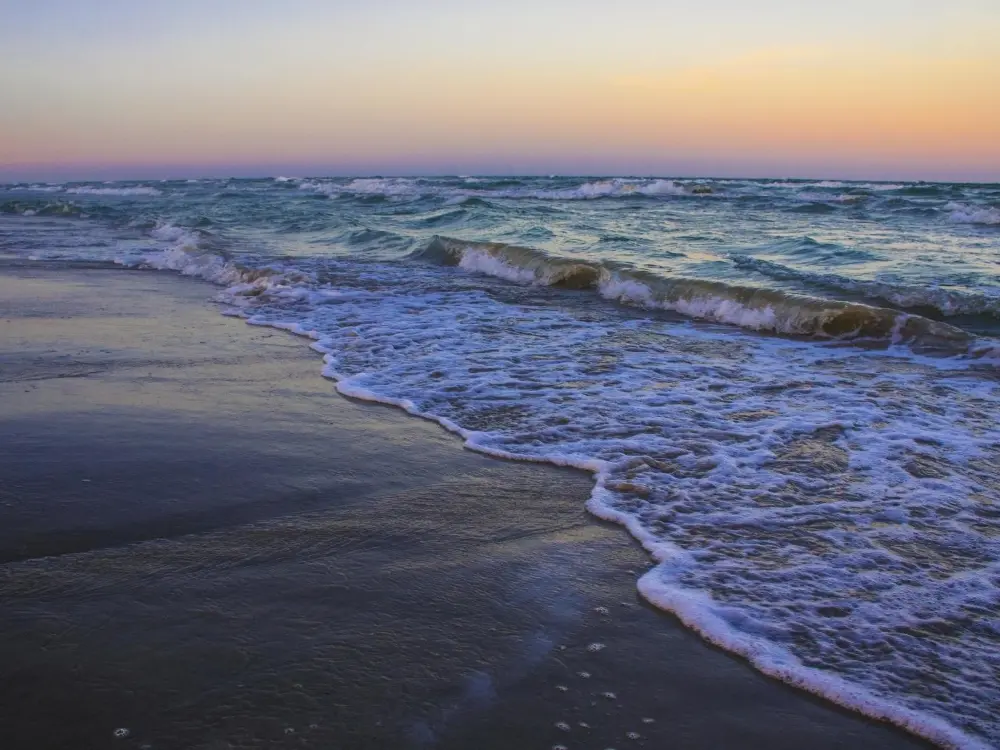 Gulf coast class trips