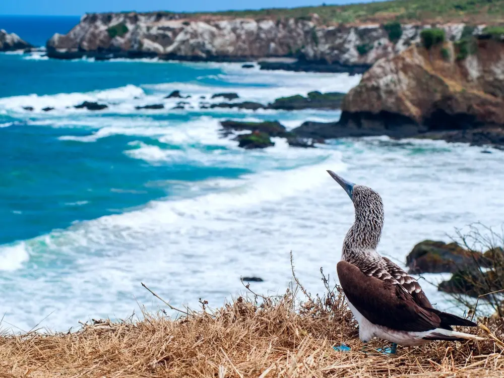 Ecuador school travel programs