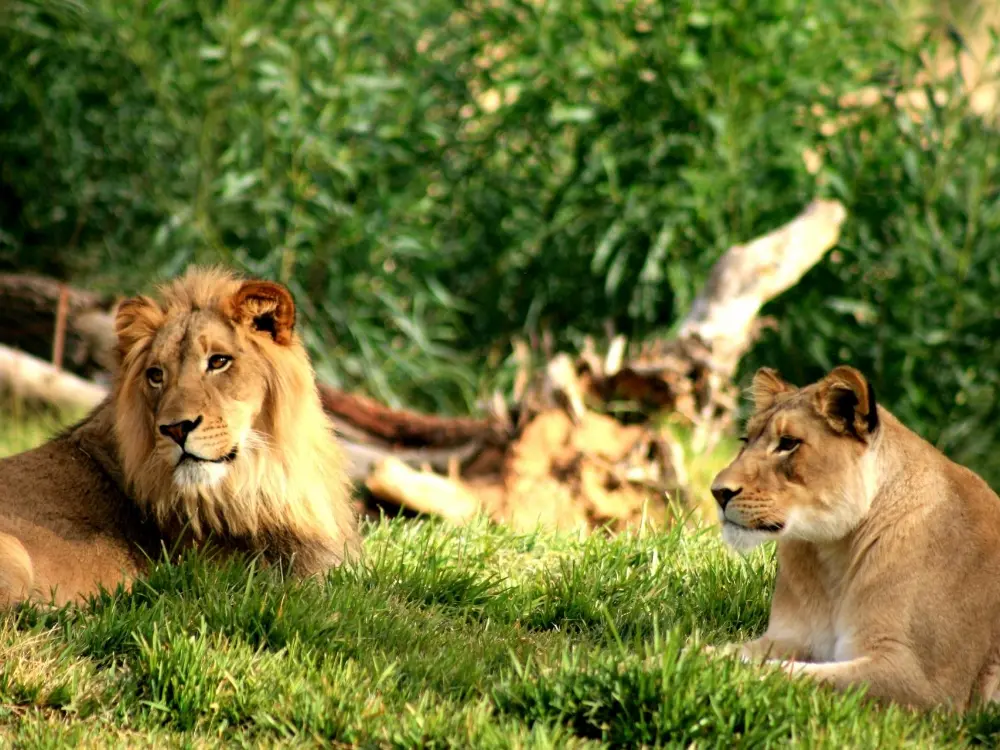 San Diego class tours