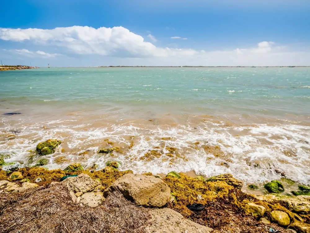 South Padre student trips