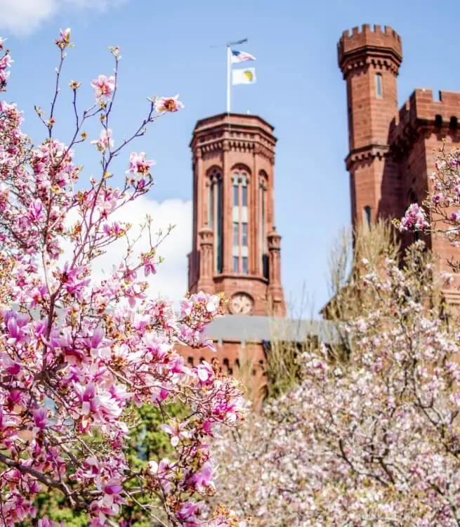 educational tours of the Smithsonian