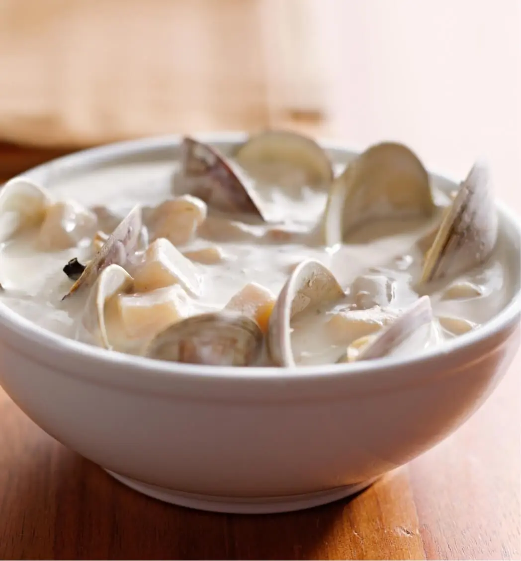 Boston culinary trip New England clam chowder