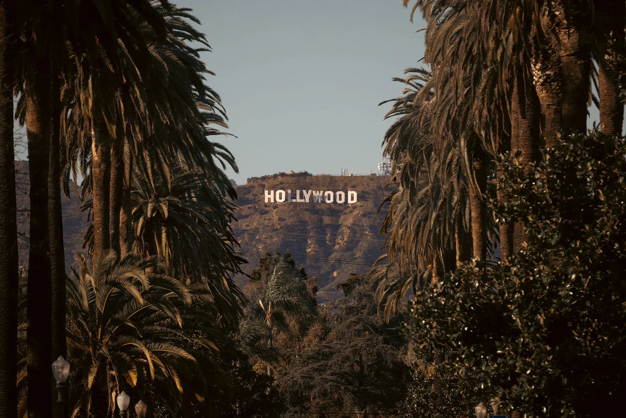view of the hollywood sign in los angeles with palm trees