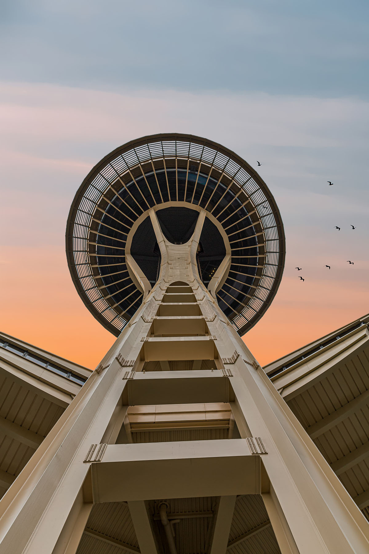 Seattle Space Needle at Dawn