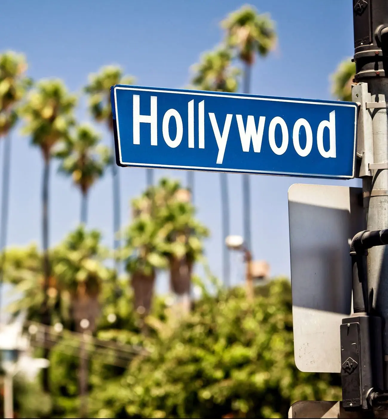 Hollywood boulevard sign, with palm trees in the background