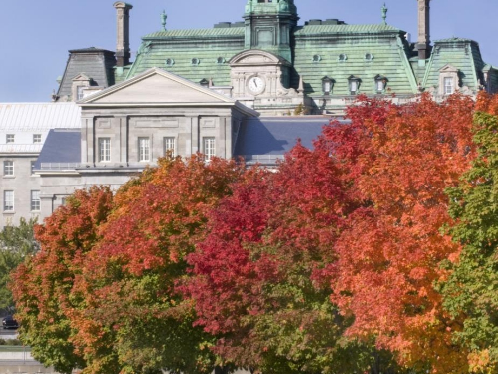 montreal student group tours