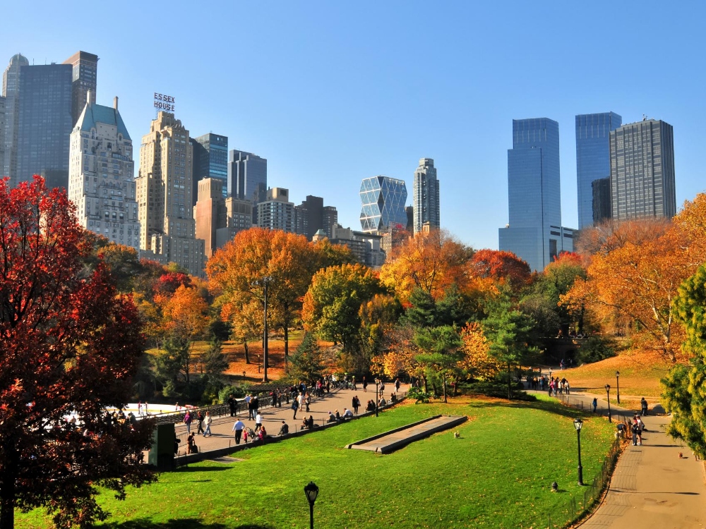 new york city school travel