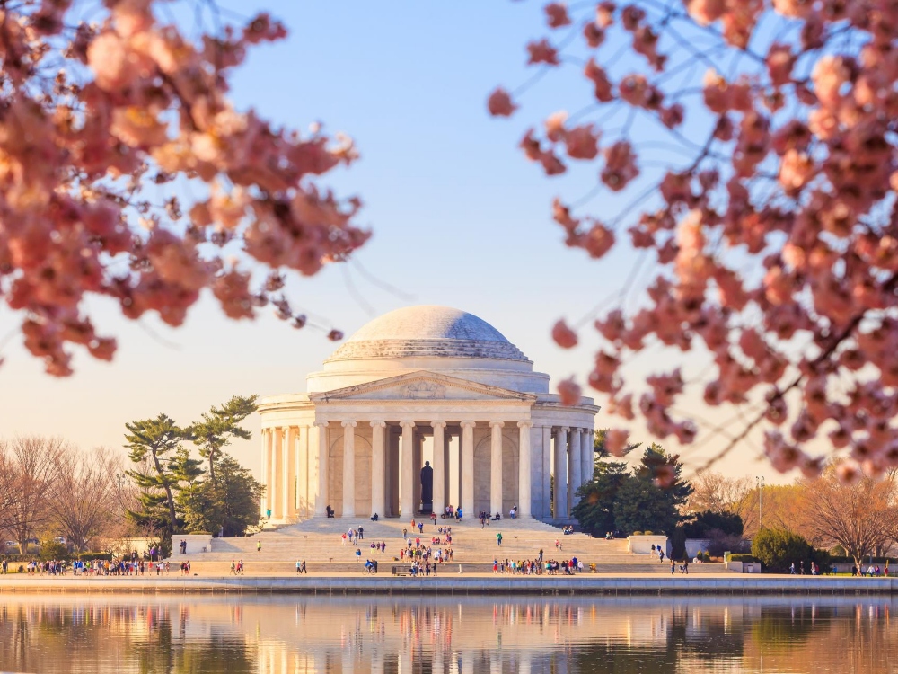 washington dc class trips