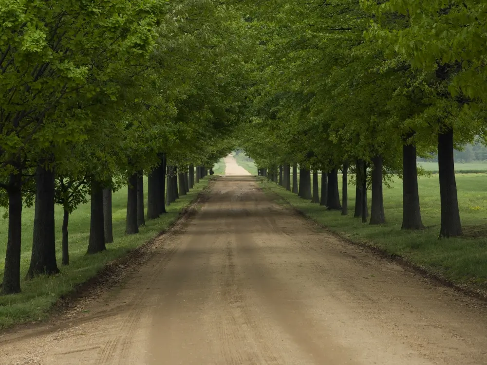 williamsburg va class trips