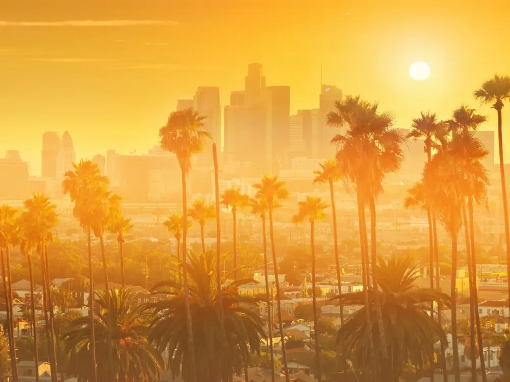 Educational Tour Of Los Angeles Highlights