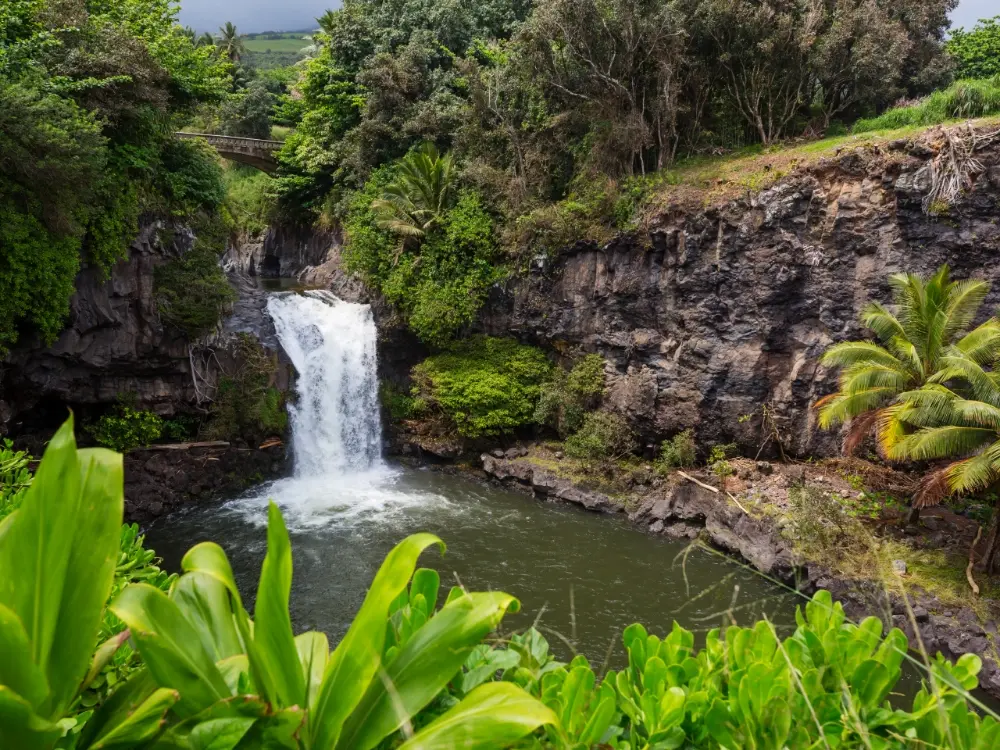 Hawaii educational tours