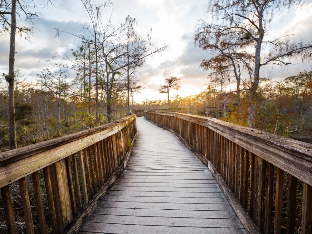 Miama & The Florida Everglades educational tours
