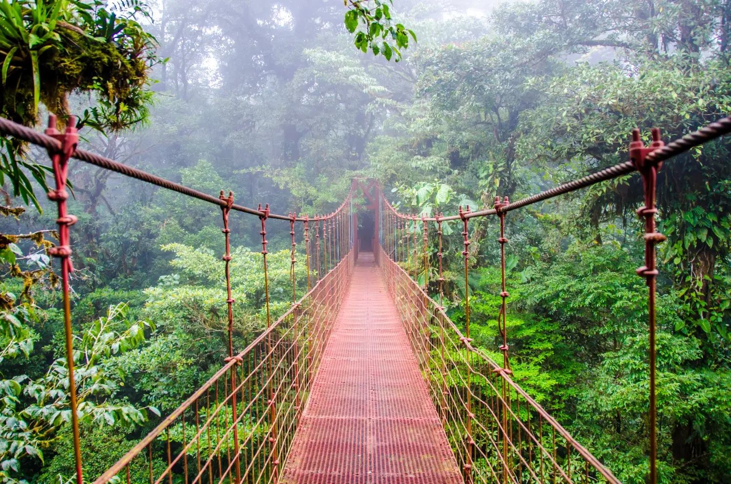 Bridge in Monteverde Cloud Forest Reserve in Costa Rica.
