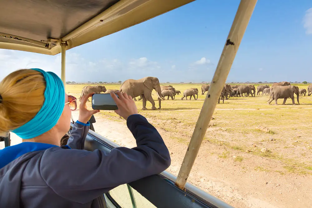 Woman on african wildlife safari.