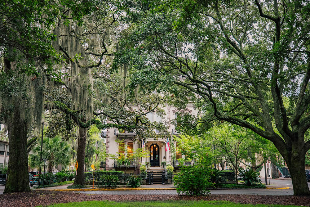Savannah educational tours