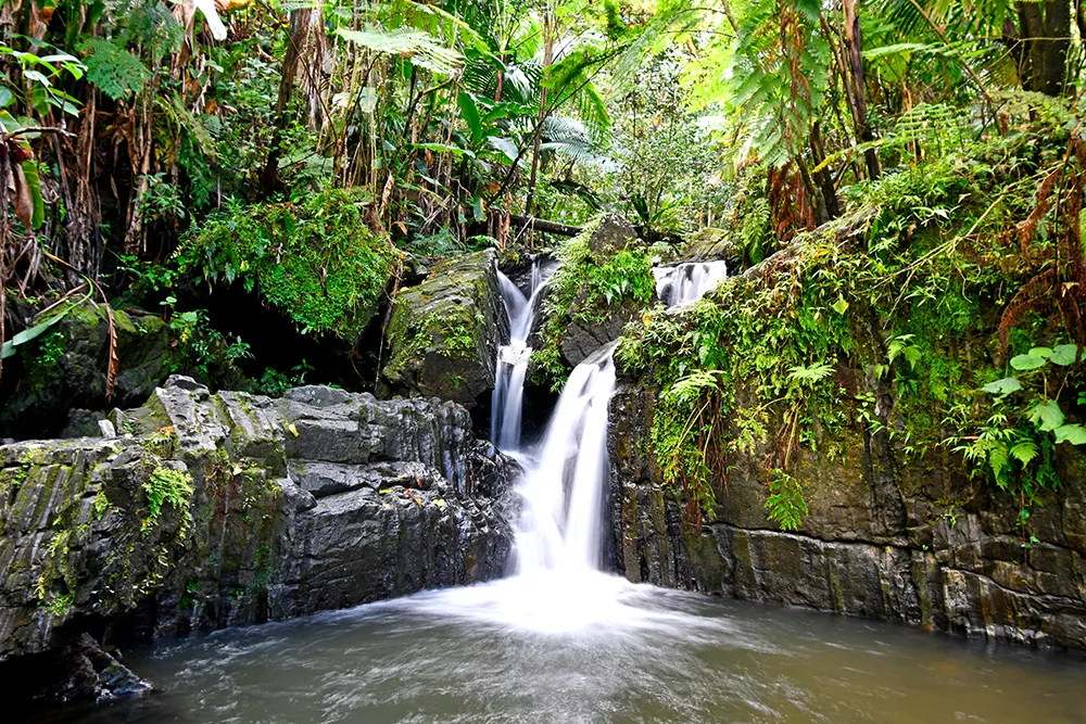 El Yunque Puerto Rico