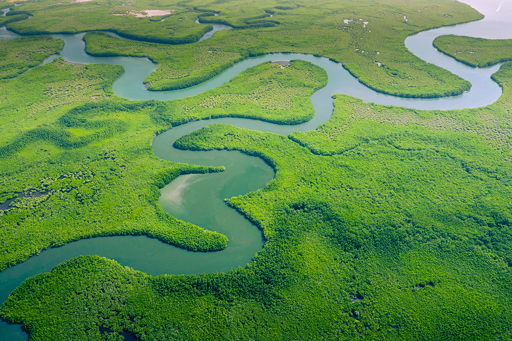Amazon River from above