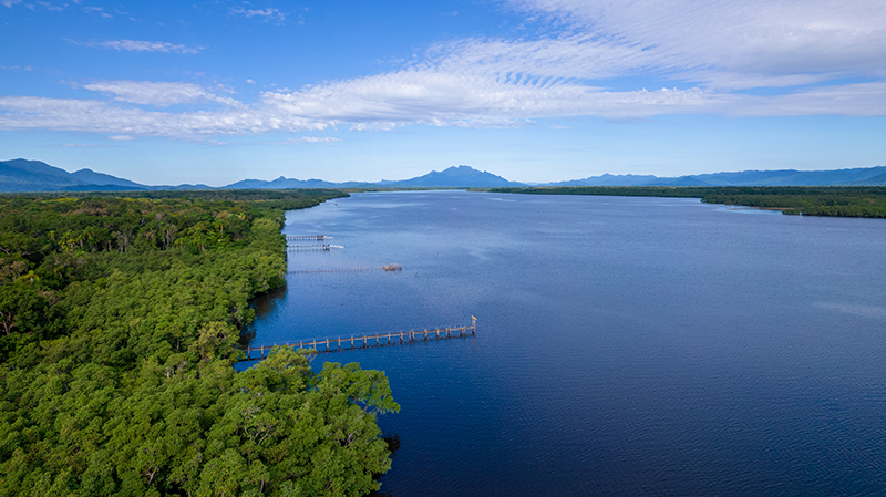 Cardoso Island State Park in Brazil preserves a large area of Atlantic Forest on the Ilha do Cardoso, an island, and includes marshes and mangroves that form an important breeding area for marine life.