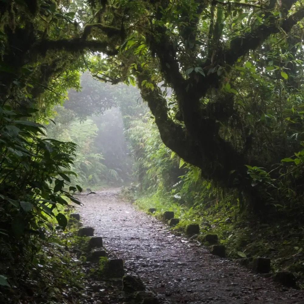 Monteverde Cloud Forest Costa Rica student trip planner
