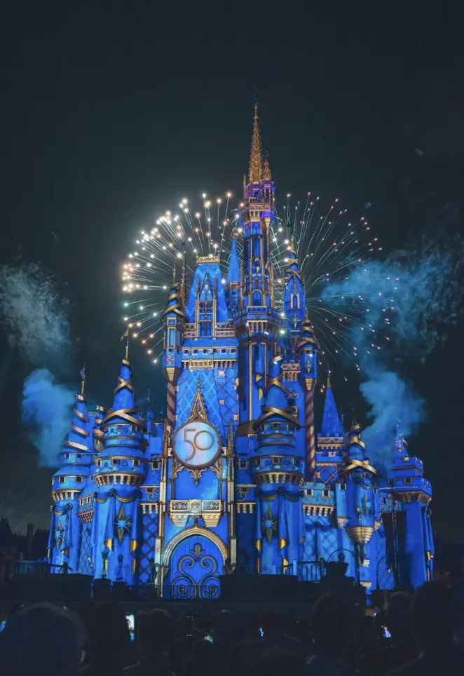 WDW Castle Fireworks