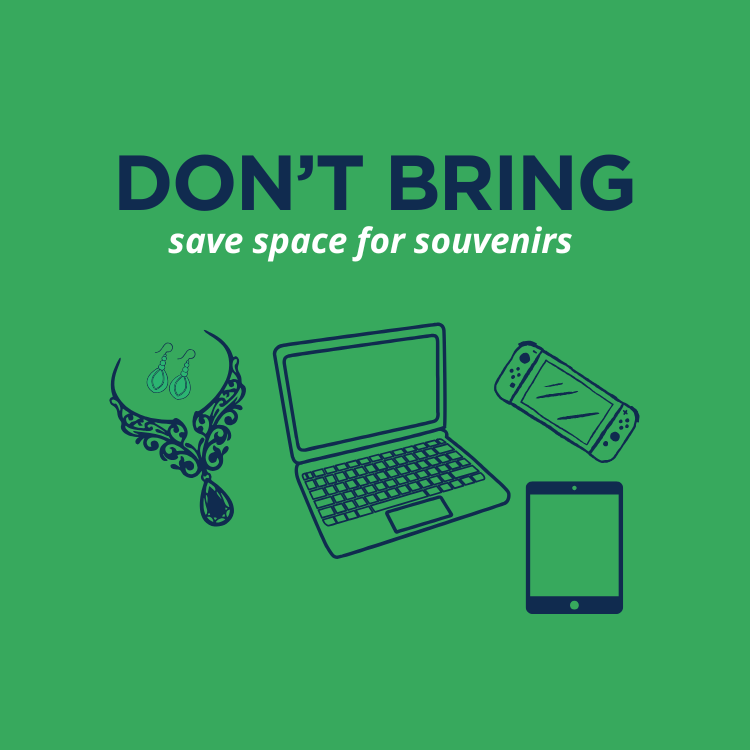 do not bring student travel packing list icons